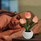 🔥 LED Лампа за Нощно Осветление с Формата на Цвете Тюлпан 🌷💡