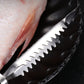 🐟🍽️ Уред за почистване на люспи от риба от неръждаема стомана